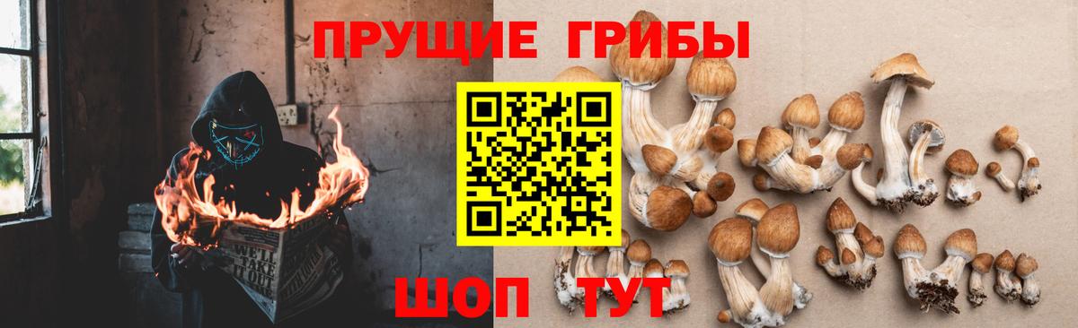 Псилоцибиновые грибы MAGIC MUSHROOMS  Вход с VPN  Сергиев Посад  Галлюциногенные грибы MAGIC MUSHROOMS 